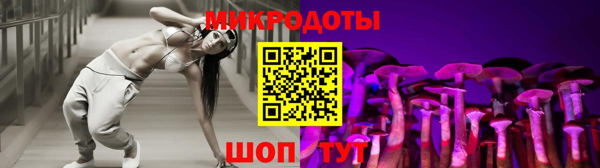 Галлюциногенные грибы Psilocybine cubensis Бор
